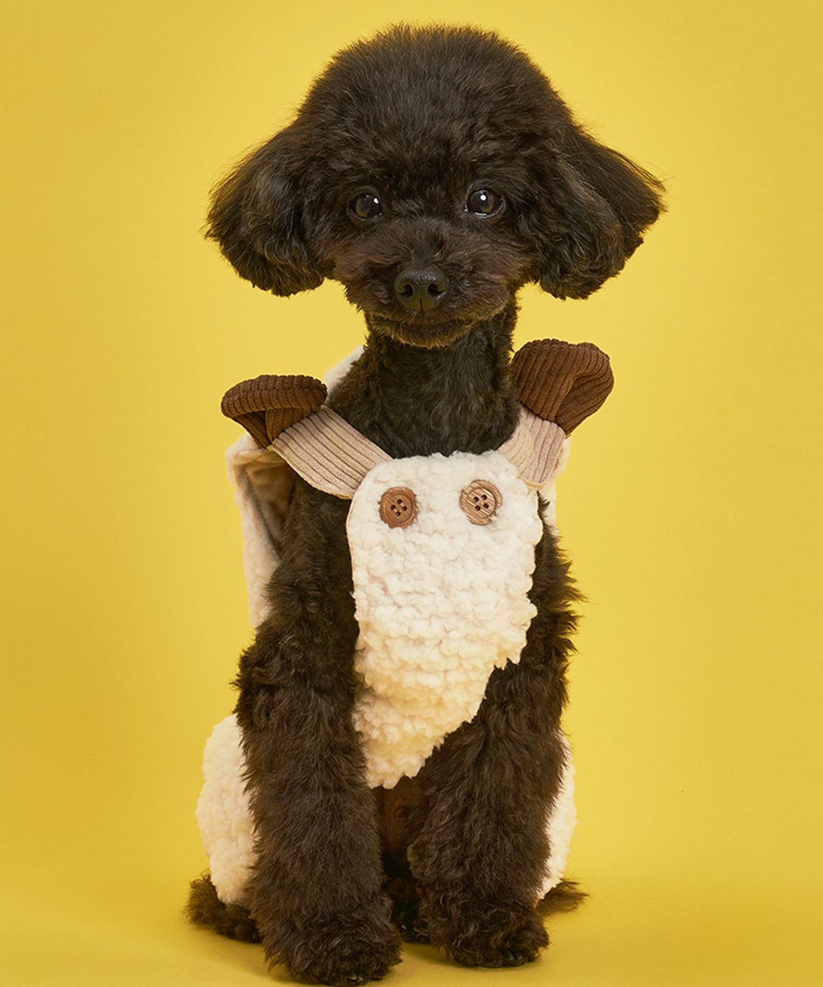 도그아이(DOGI) 강아지 양털 곰돌이 멜빵 아이보리