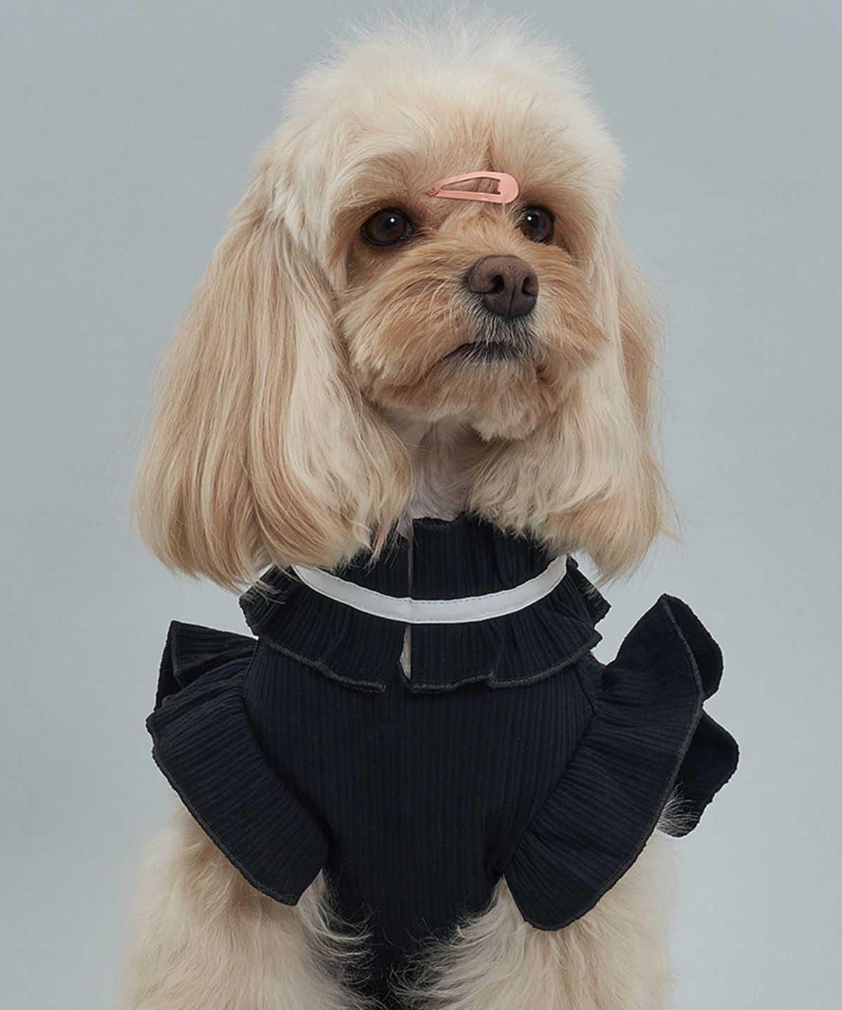 도그아이(DOGI) 강아지 리본 프릴티 블랙