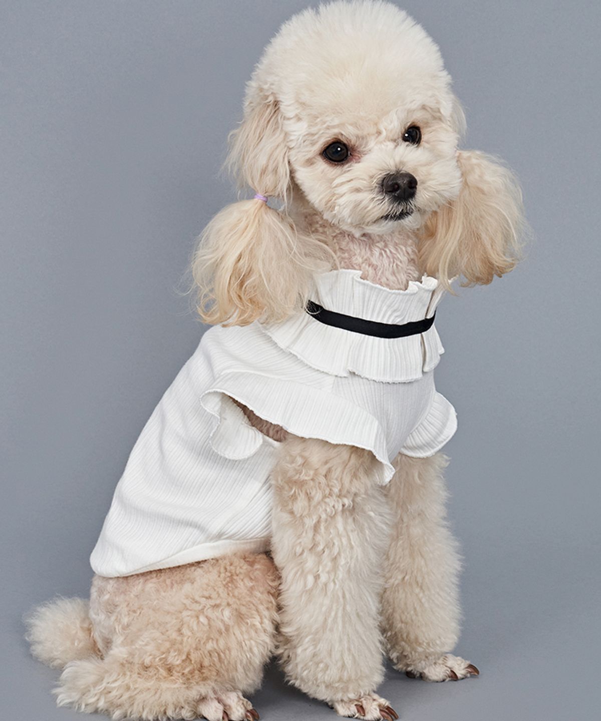 도그아이(DOGI) 강아지 리본 프릴티 화이트