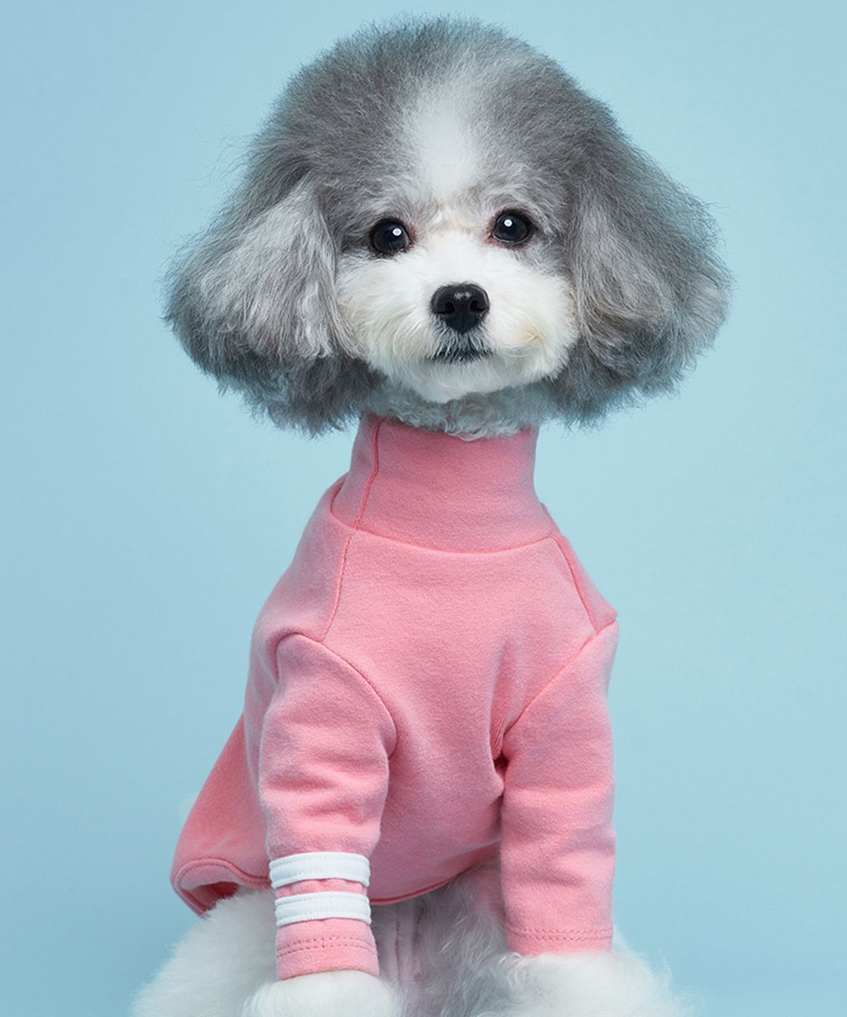 도그아이(DOGI) 강아지 베이직 투라인 티셔츠 핑크