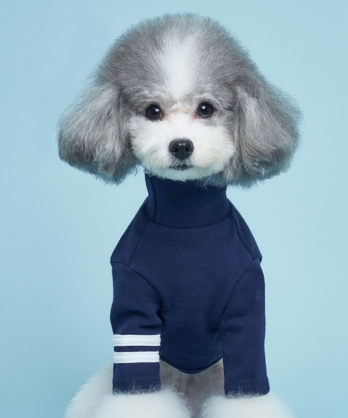 도그아이(DOGI) 강아지 베이직 투라인 티셔츠 네이비