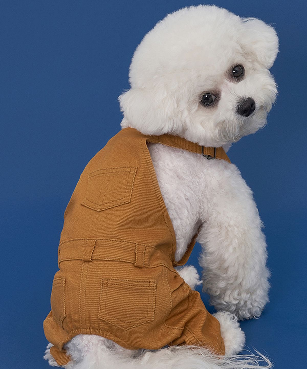 도그아이(DOGI) 강아지 베이직 코튼팬츠 브라운