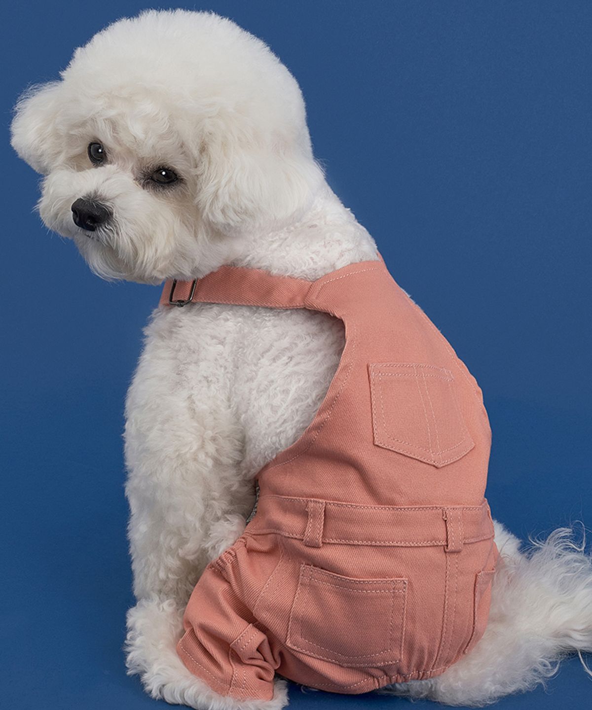 도그아이(DOGI) 강아지 베이직 코튼팬츠 인디핑크