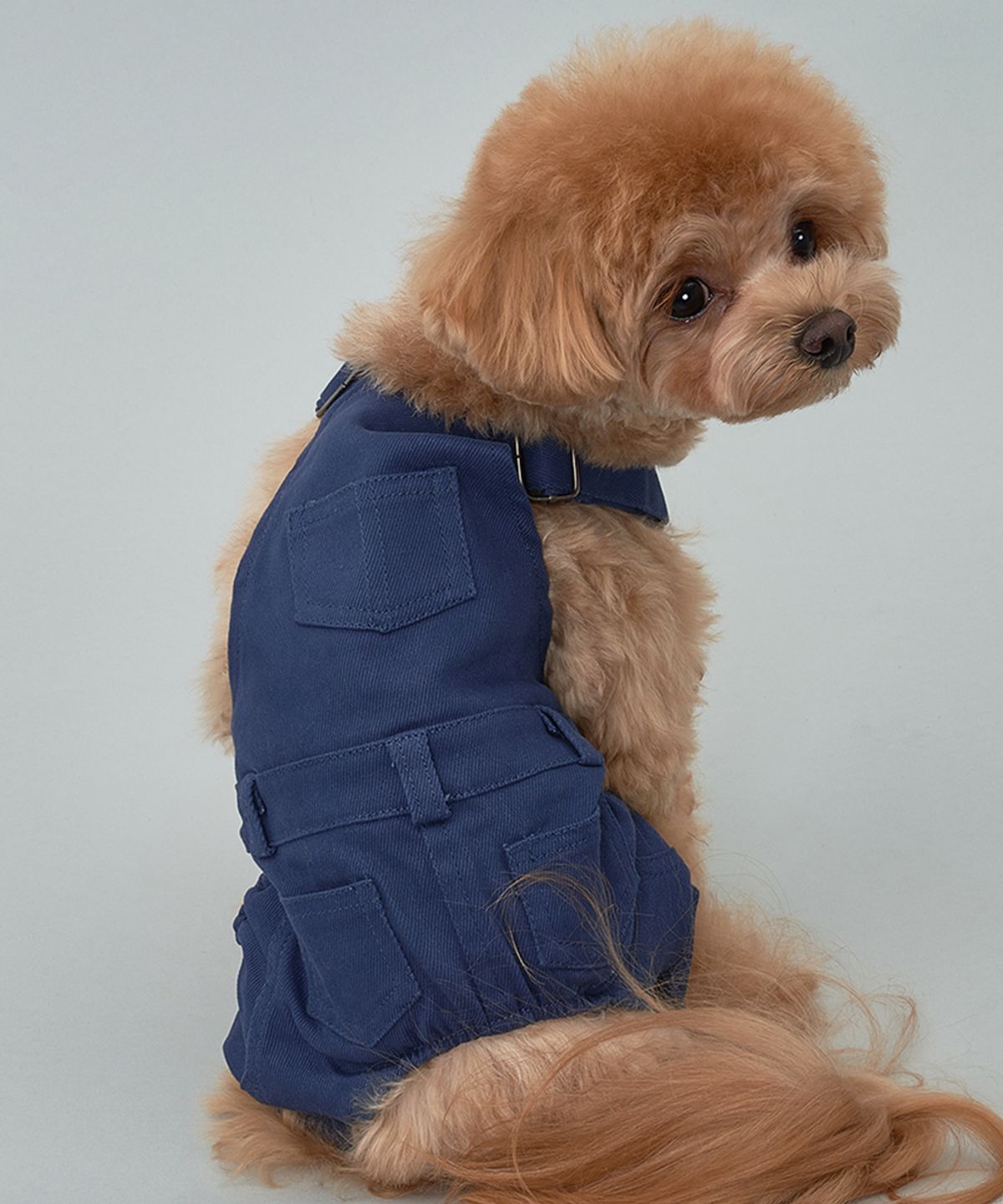 도그아이(DOGI) 강아지 베이직 코튼팬츠 네이비