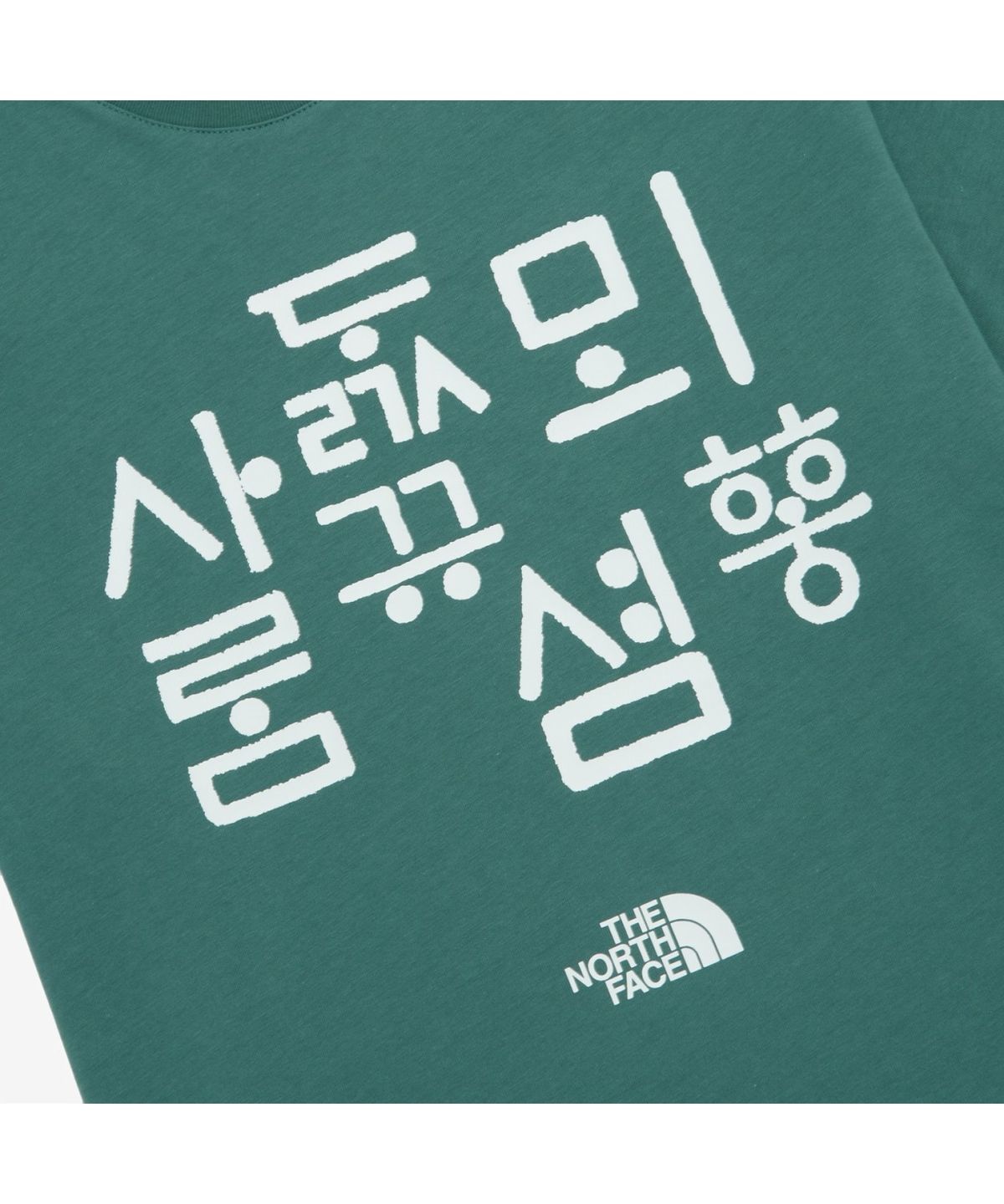 노스페이스(THE NORTH FACE) NT7UR54H TNF 한글 반팔 라운드티 6_GREEN BAY