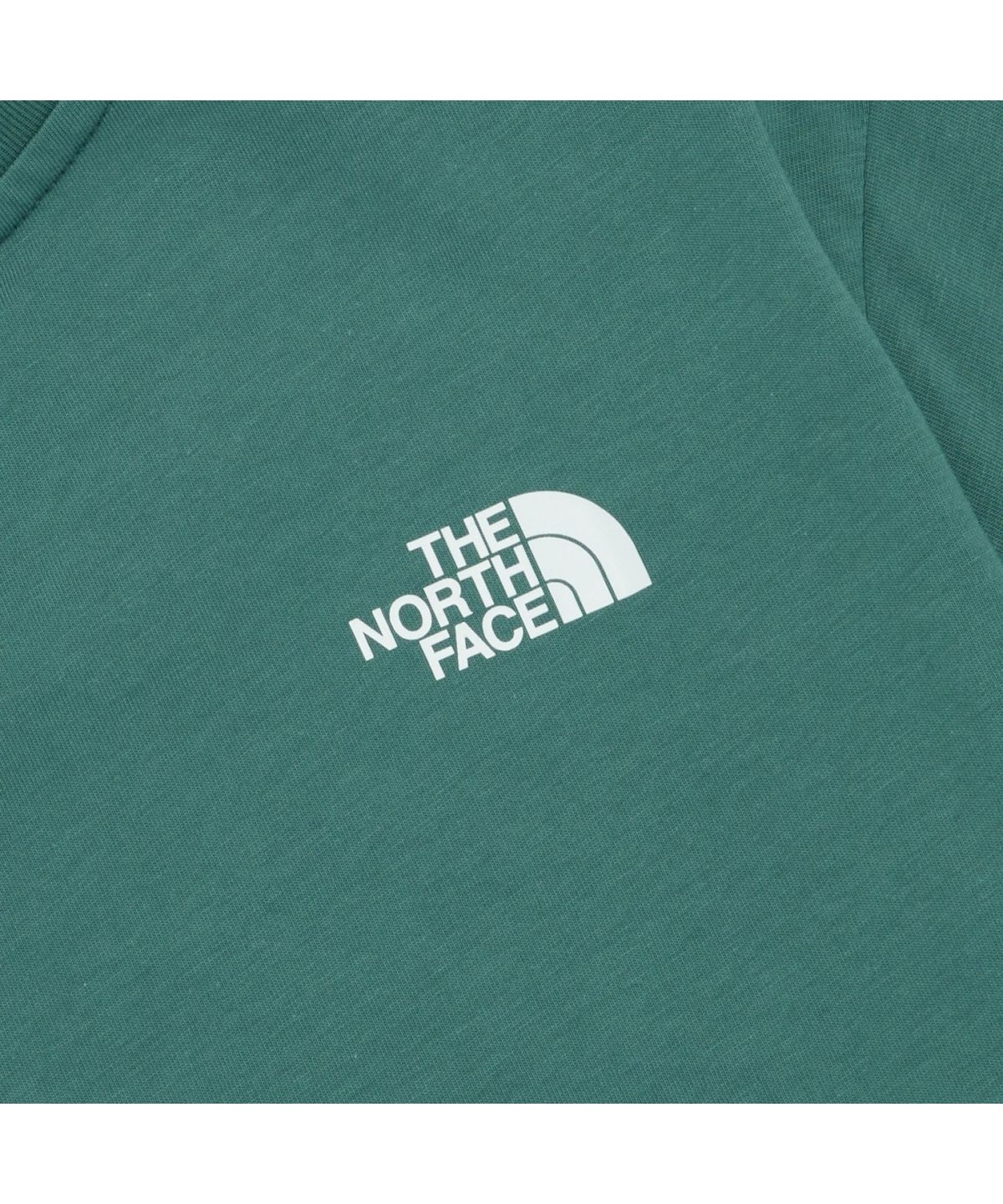 노스페이스(THE NORTH FACE) NT7UR54H TNF 한글 반팔 라운드티 6_GREEN BAY