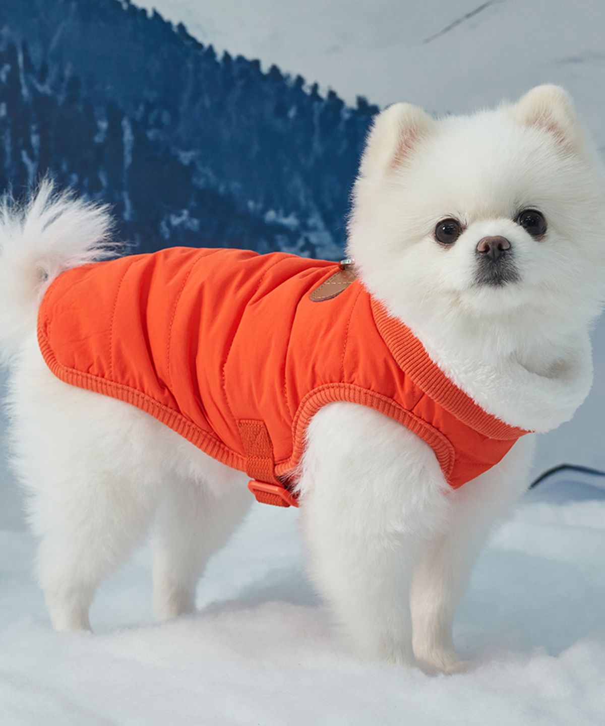 도그아이(DOGI) 강아지 아우터 넥워머 패딩 오렌지