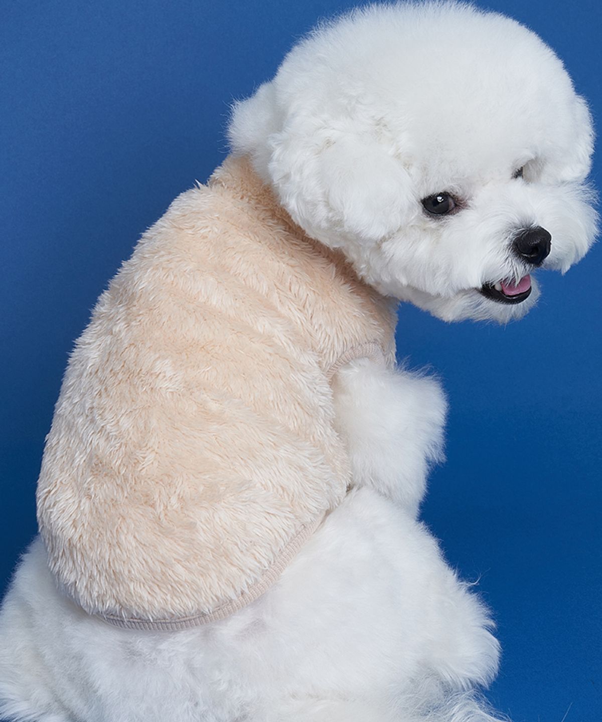 도그아이(DOGI) 강아지 보아 후리스 아이보리
