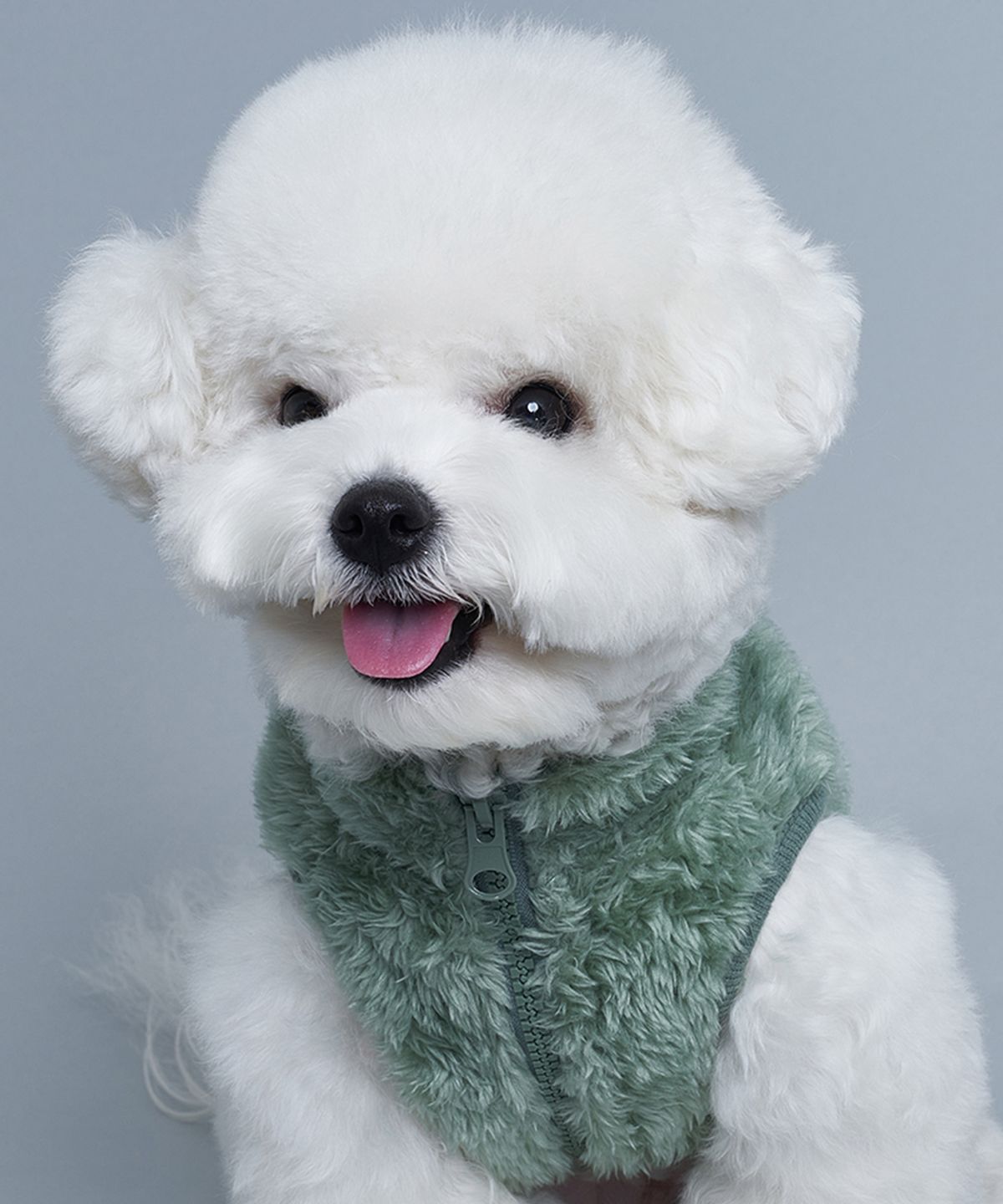 도그아이(DOGI) 강아지 보아 후리스 그린