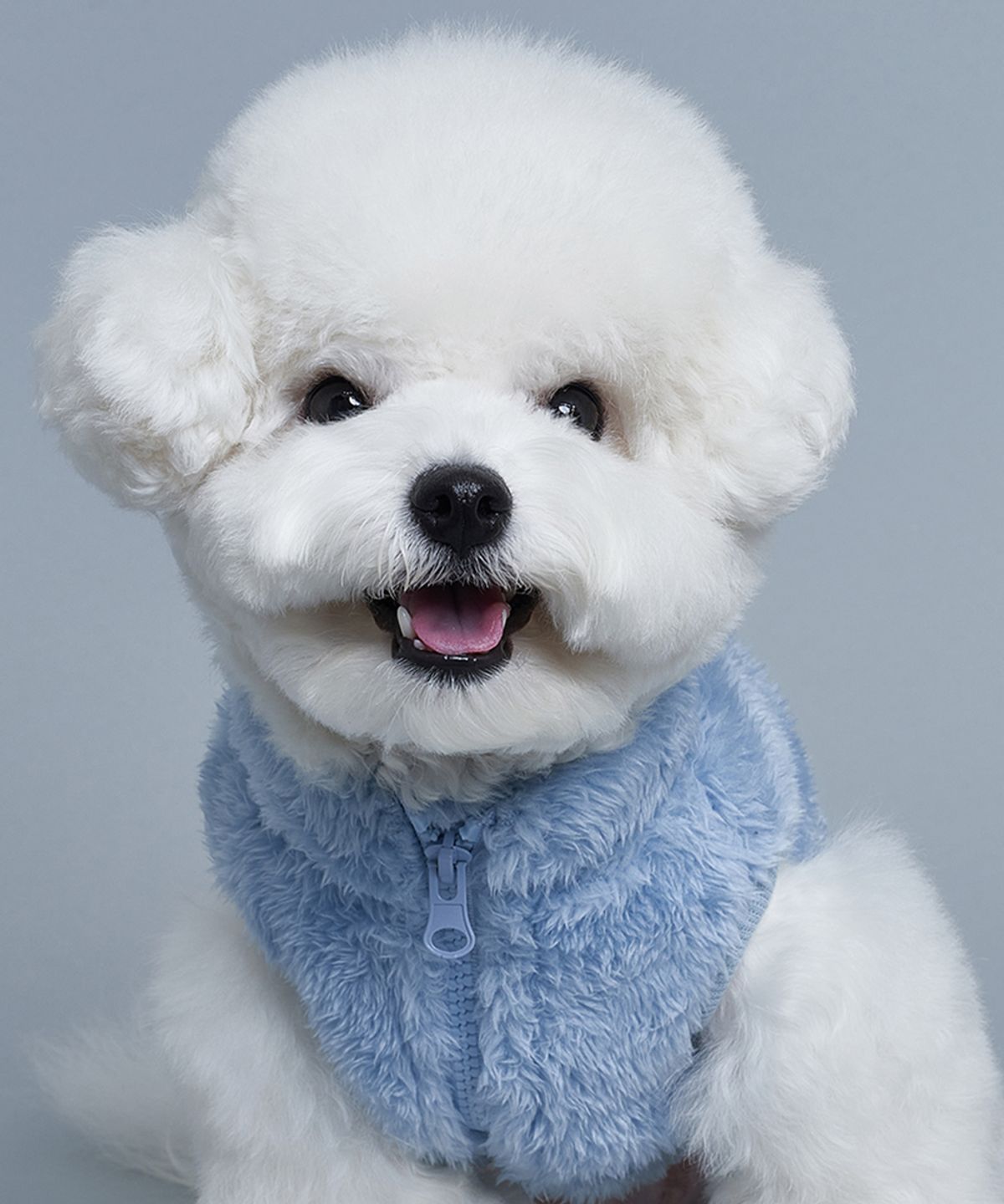 도그아이(DOGI) 강아지 보아 후리스 블루