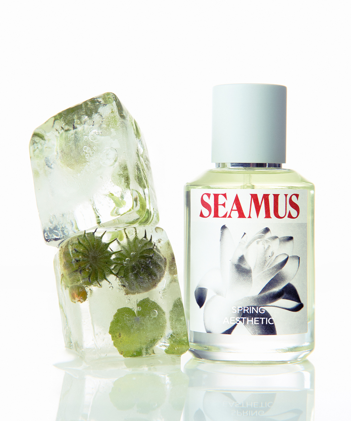 시머스(SEAMUS) 스프링 에스테틱 EDP 50ml