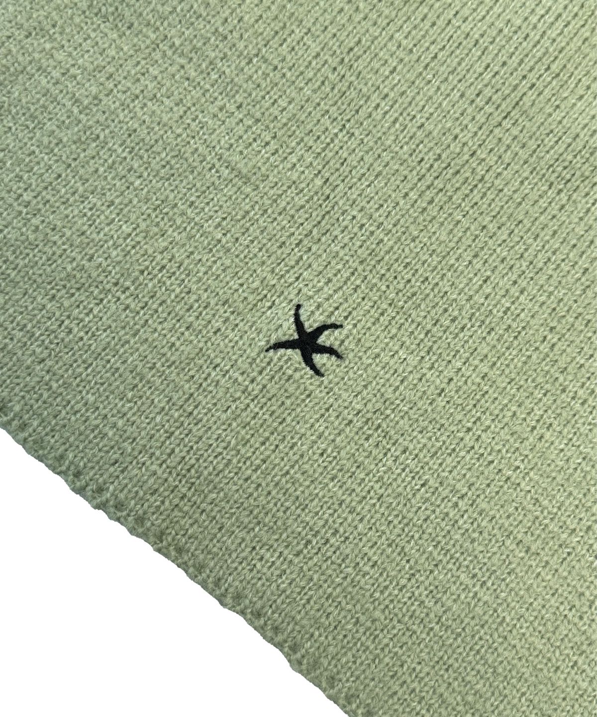 더콜디스트모먼트(THE COLDEST MOMENT) TCM mini logo plain muffler (pistachio)
