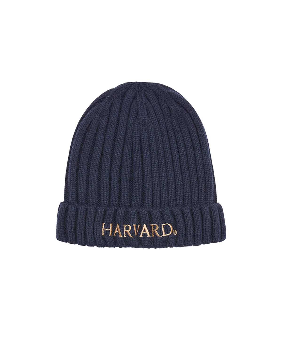 하버드 키즈(HARVARD KIDS) 빅로고 비니_B4W111