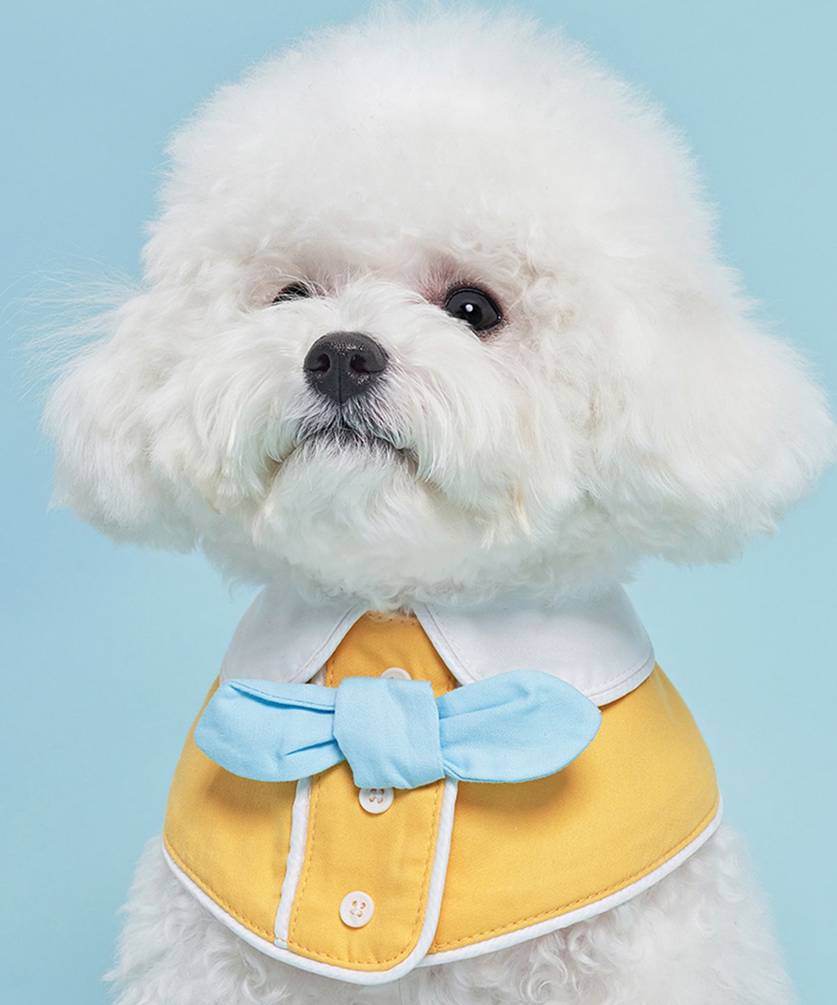 도그아이(DOGI) 반려동물 넥 케이프 옐로우