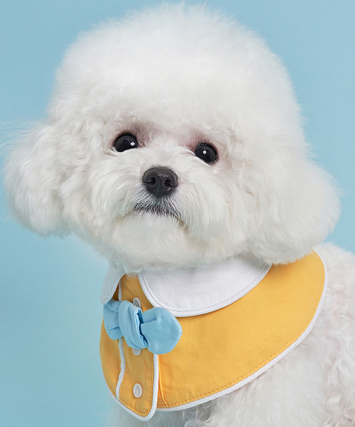 도그아이(DOGI) 반려동물 넥 케이프 옐로우
