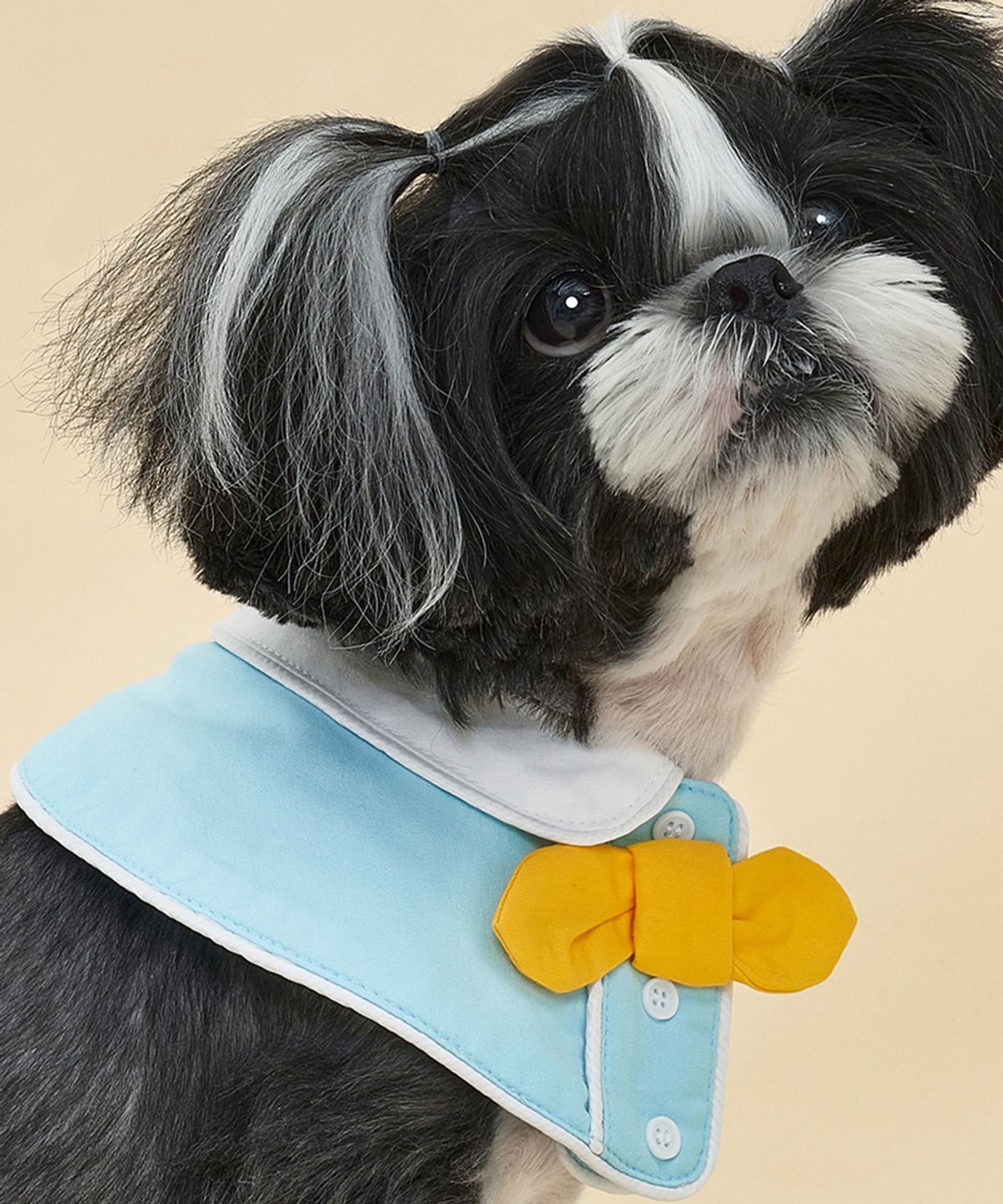 도그아이(DOGI) 반려동물 넥 케이프 블루