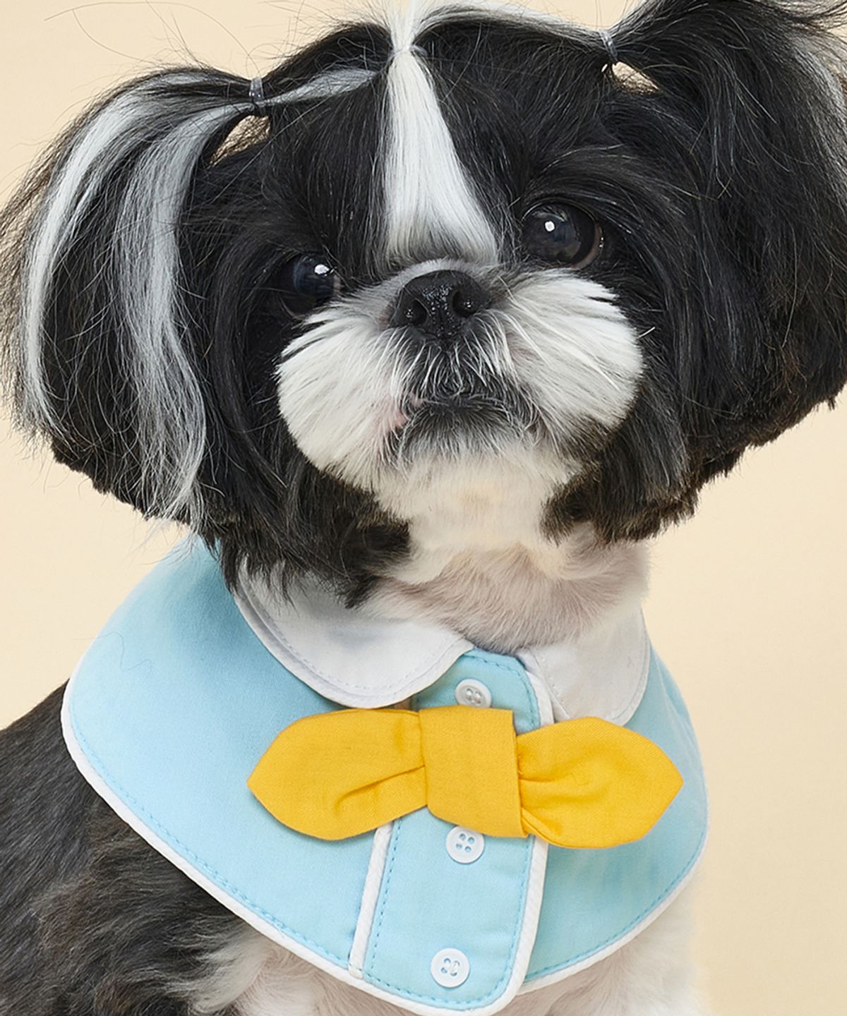 도그아이(DOGI) 반려동물 넥 케이프 블루