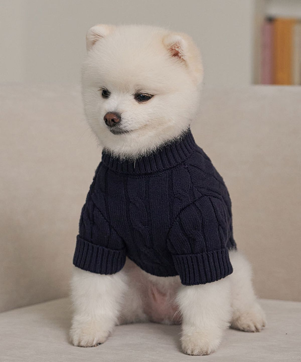 베일리(BAILEY) 강아지 겨울옷 테디 풀오버 니트 네이비
