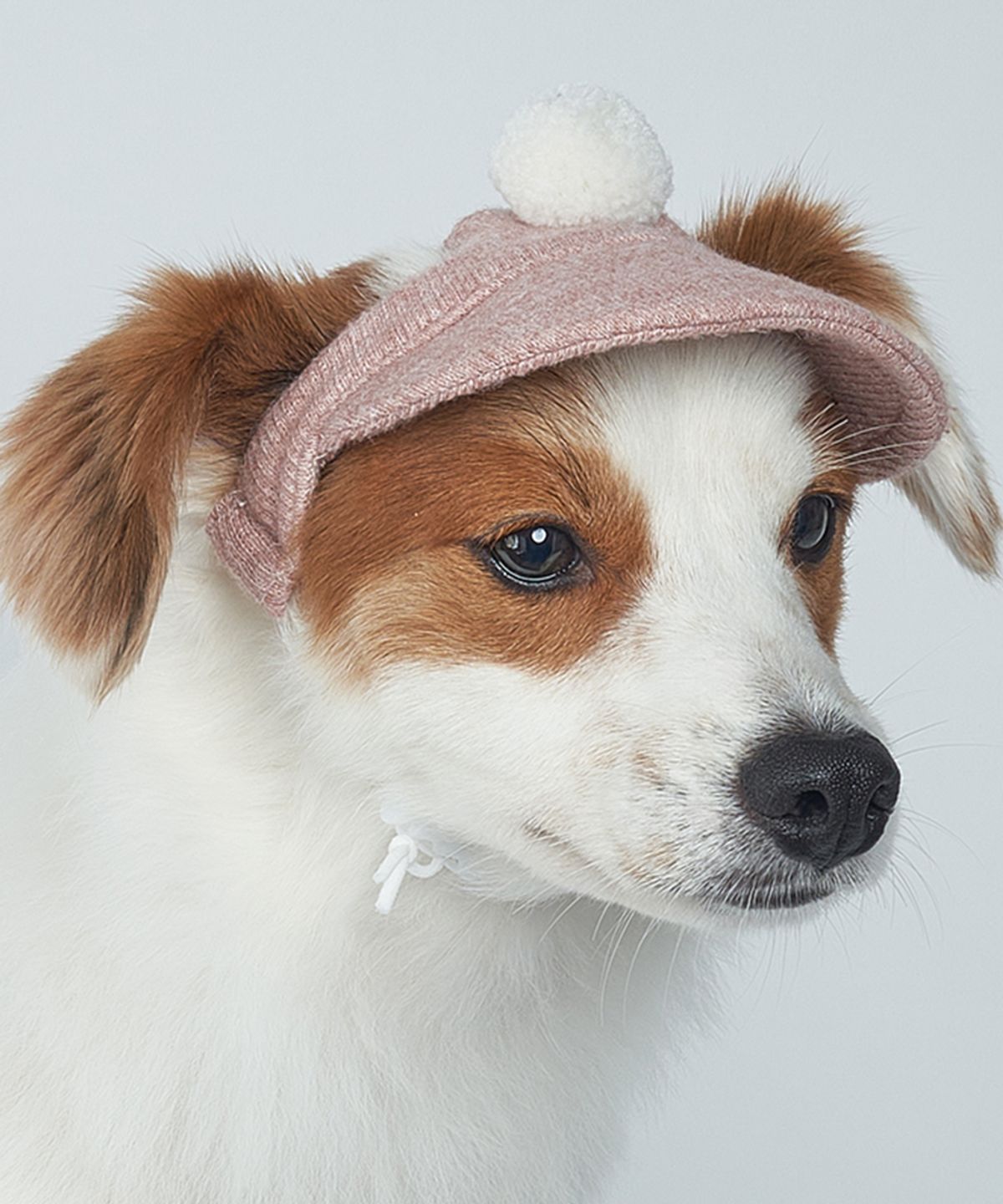 도그아이(DOGI) 강아지 폼폼이 니트모자 핑크