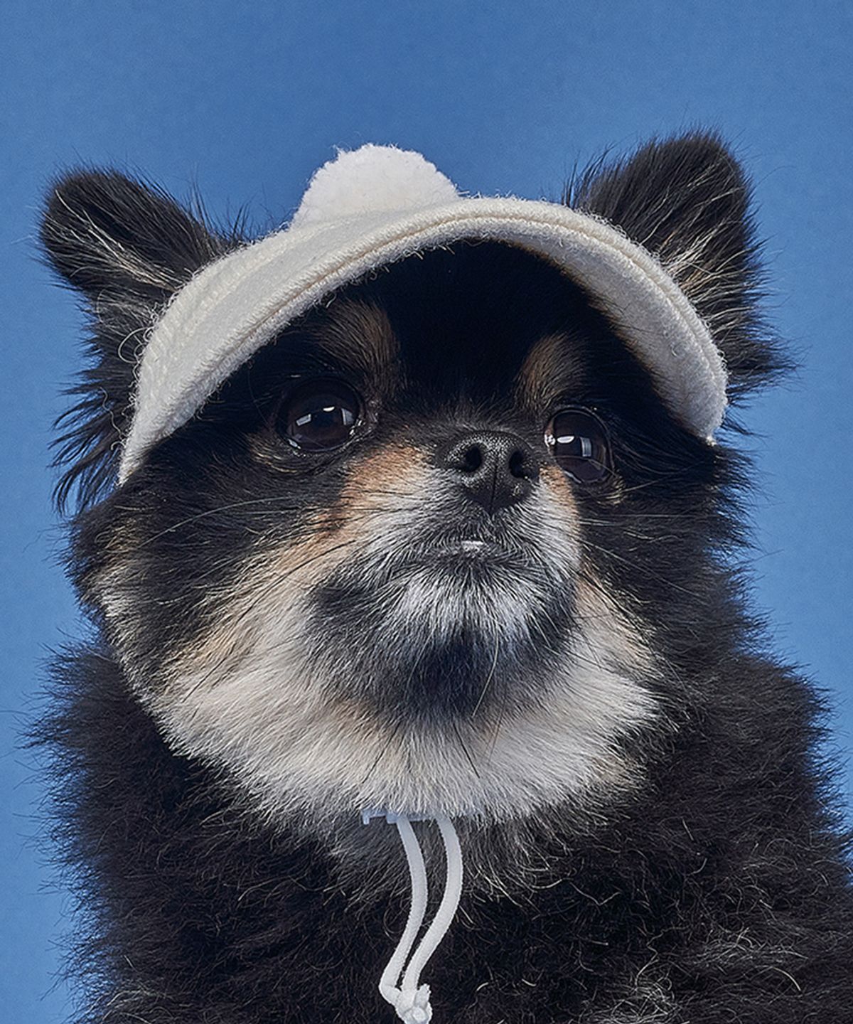 도그아이(DOGI) 강아지 폼폼이 니트모자 아이보리