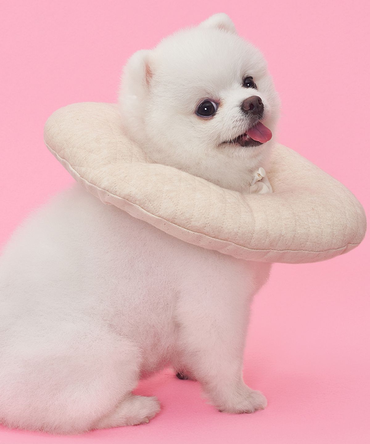 도그아이(DOGI) 반려동물 목화솜 쿠션 넥카라