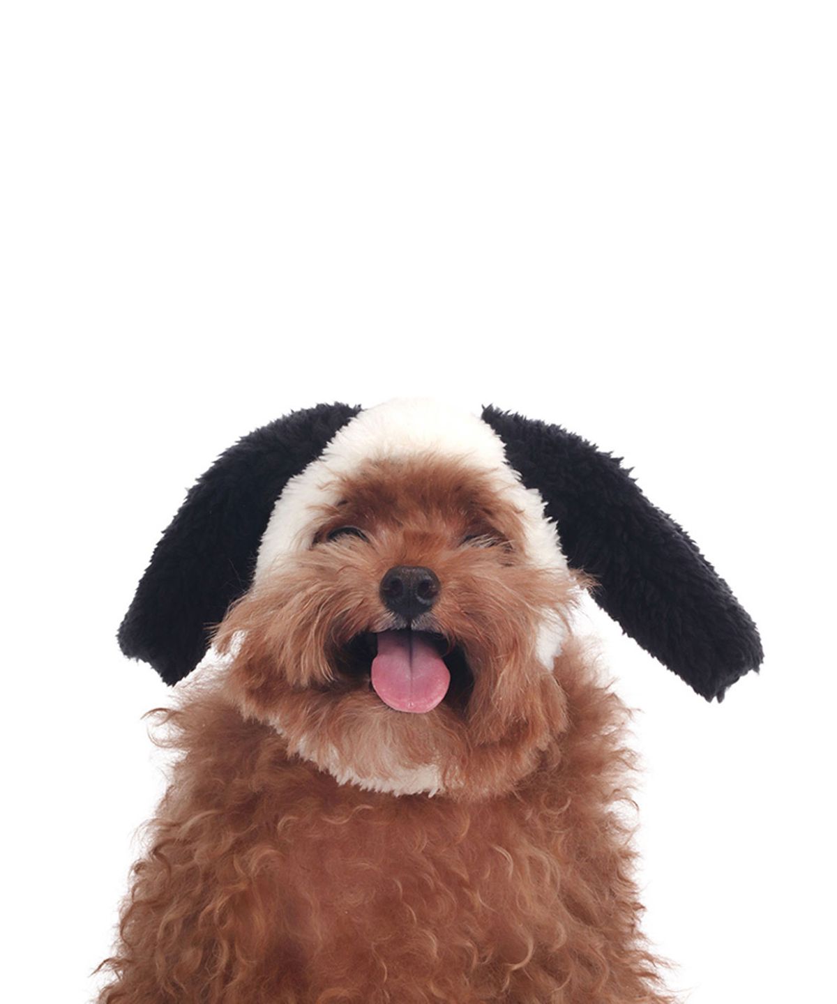 몽슈슈(MONCHOUCHOU) Lucky Dog Hat