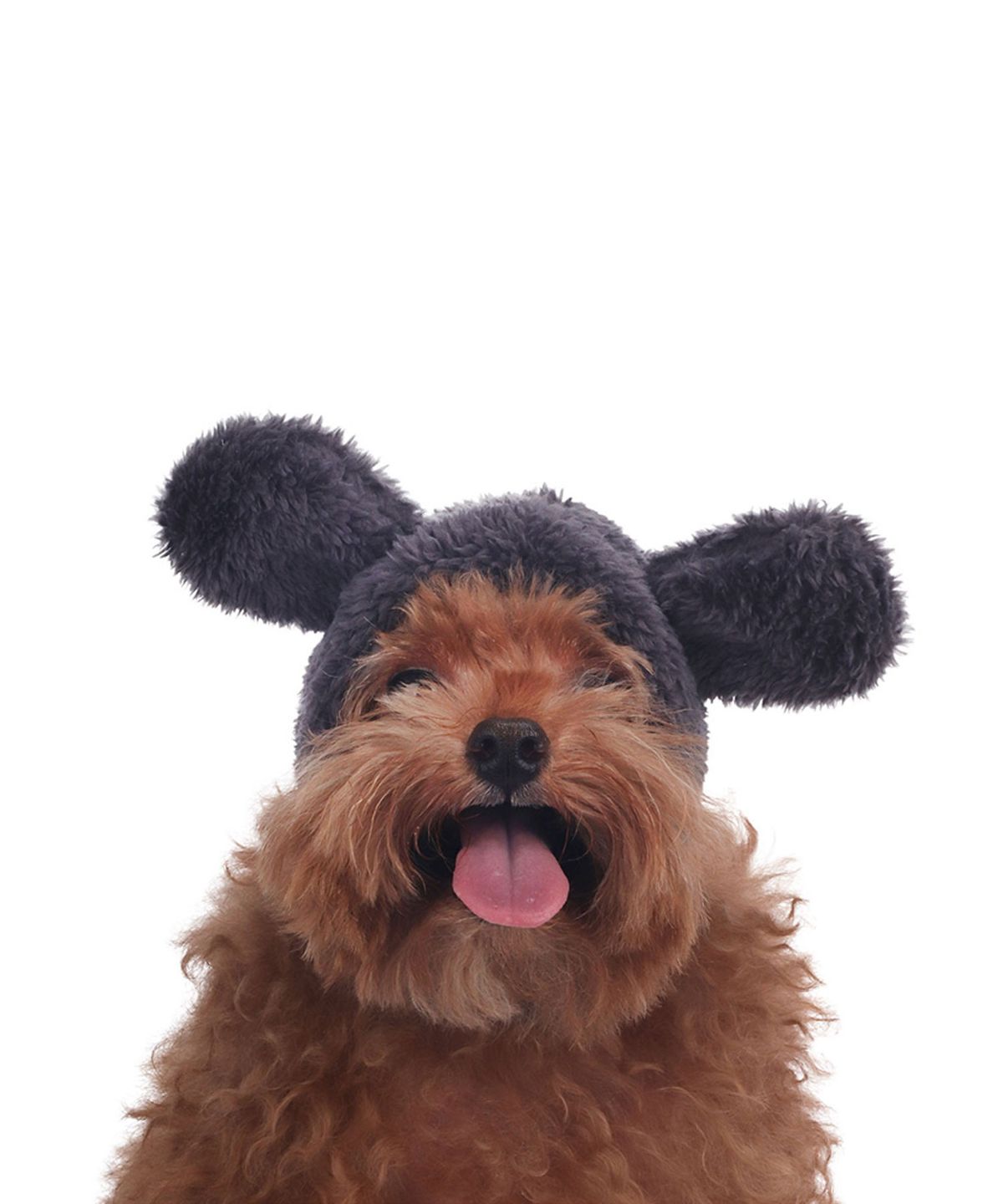 몽슈슈(MONCHOUCHOU) Dusty Beaver Hat