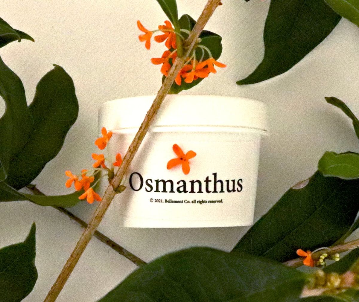 벨망(BELLEMENT) 금목서 핸드밤 50g - OSMANTHUS