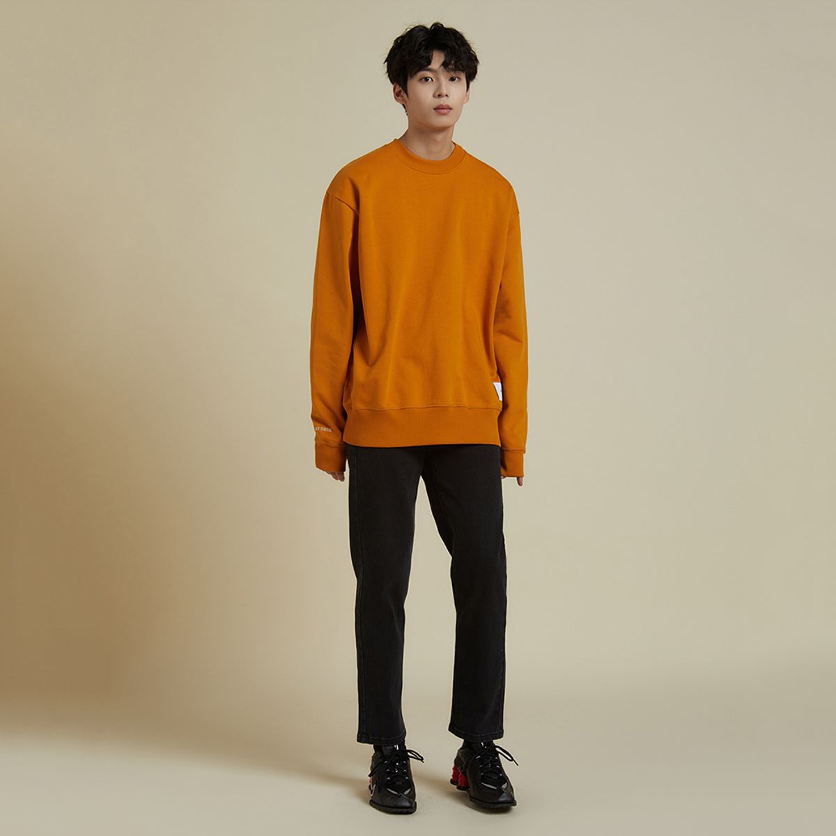 플라즈(PLADS7) CARL SWEATSHIRT_M226CTS704M
