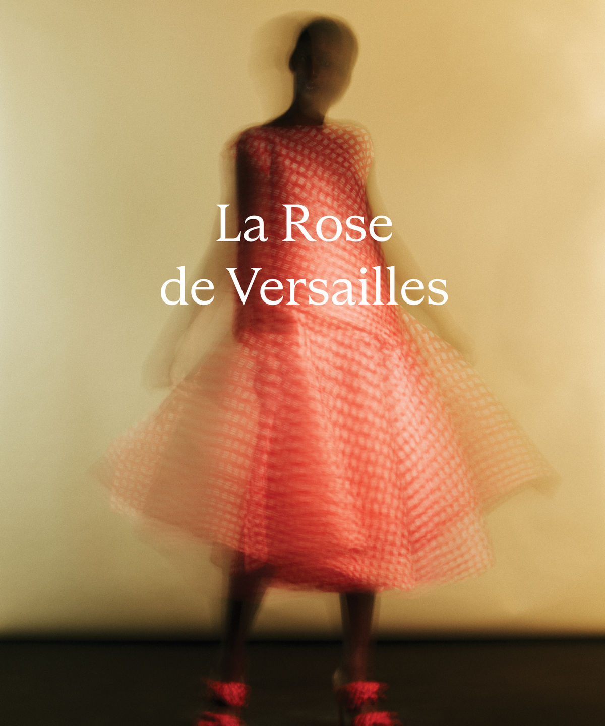 킨포크노츠(KINFOLKNOTES) 라 로즈 드 베르사유 디퓨저 - 200ml