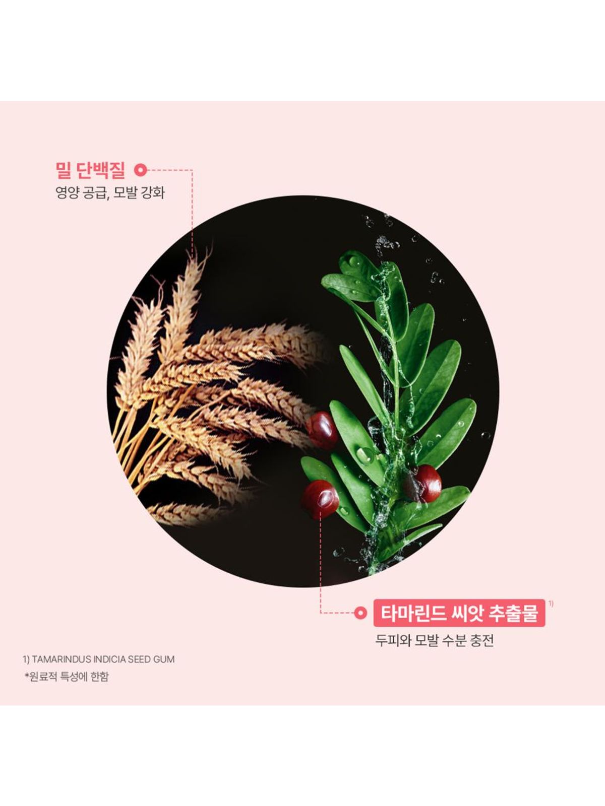 르네휘테르(RENE FURTERER) 토뉘시아 플럼핑 마스크 250ml