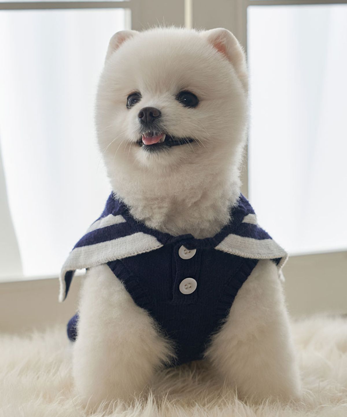 베일리(BAILEY) 강아지 겨울옷 세라 포켓 니트 네이비