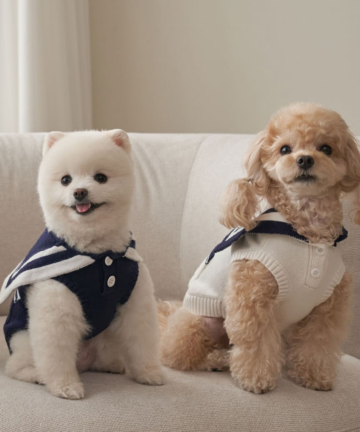 베일리(BAILEY) 강아지 겨울옷 세라 포켓 니트 네이비