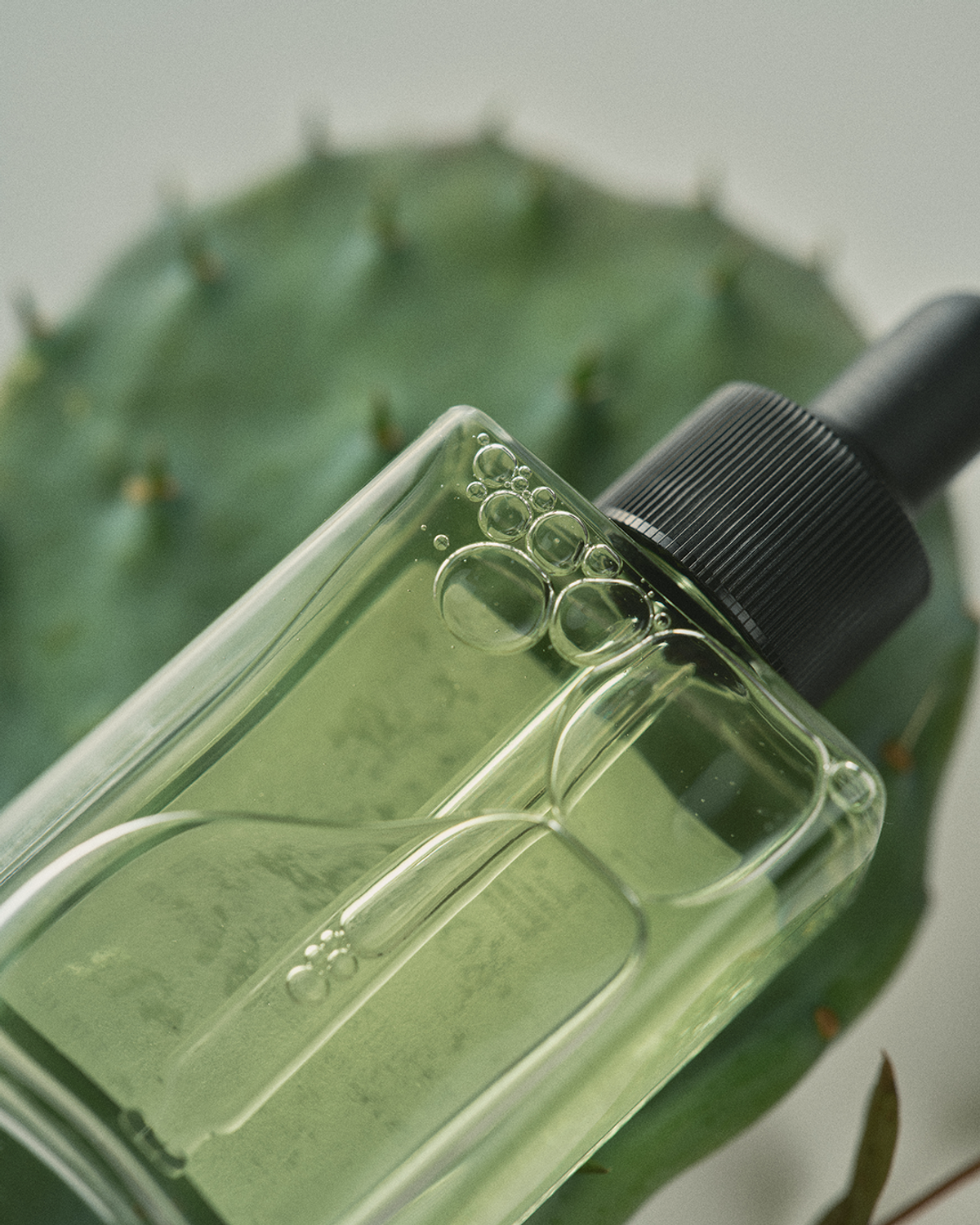 널리(NULLIKOREA) 제주 선인장 진정수분세럼 30ml