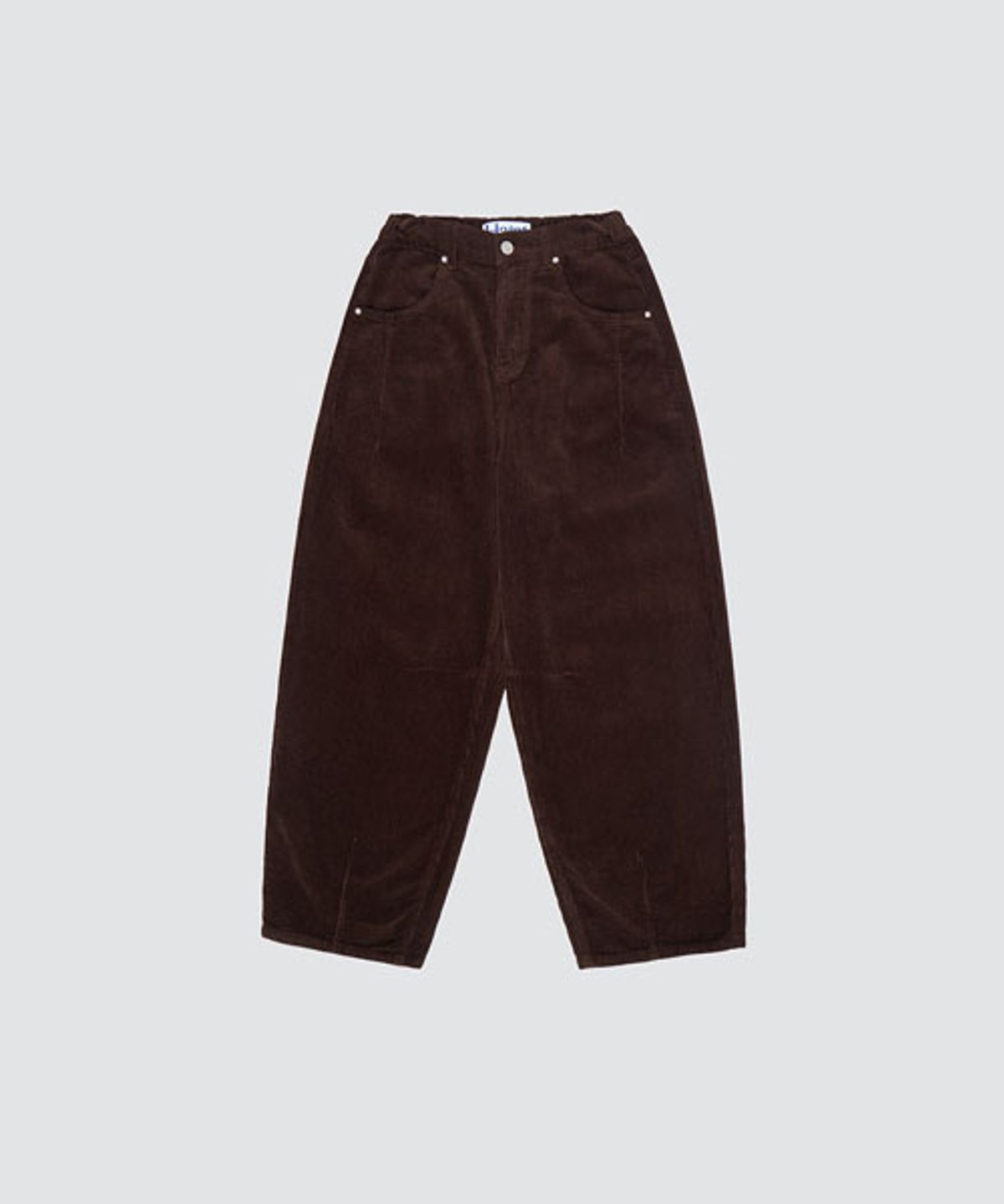 헤인트(HAINT) MELLOW CORDUROY BAGGY PANTS_4COLORS_BROWN