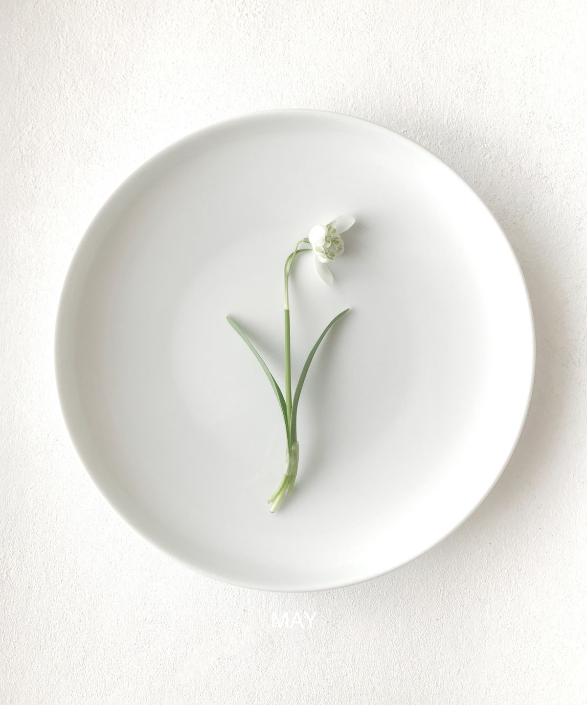오미(OHME) 메이 30/50/100ml
