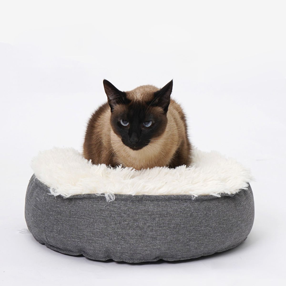 개과천선(GAEKWACHEONSUN) 바스크 고양이 방석