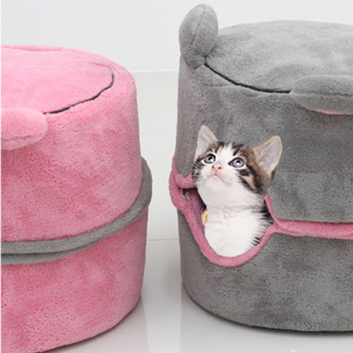 개과천선(GAEKWACHEONSUN) 캡슐베어 고양이 하우스