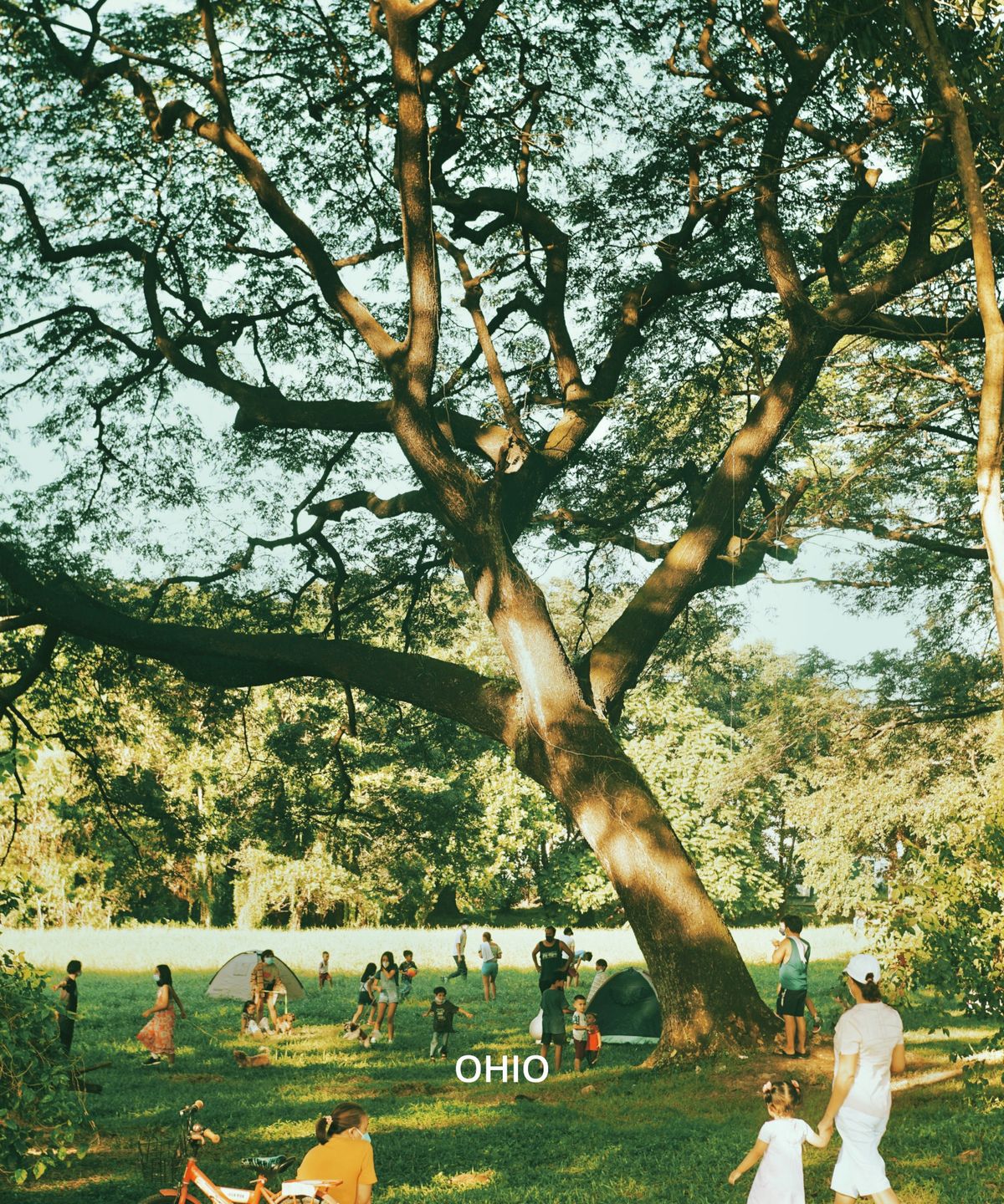 오미(OHME) 오하이오 30/50/100ml