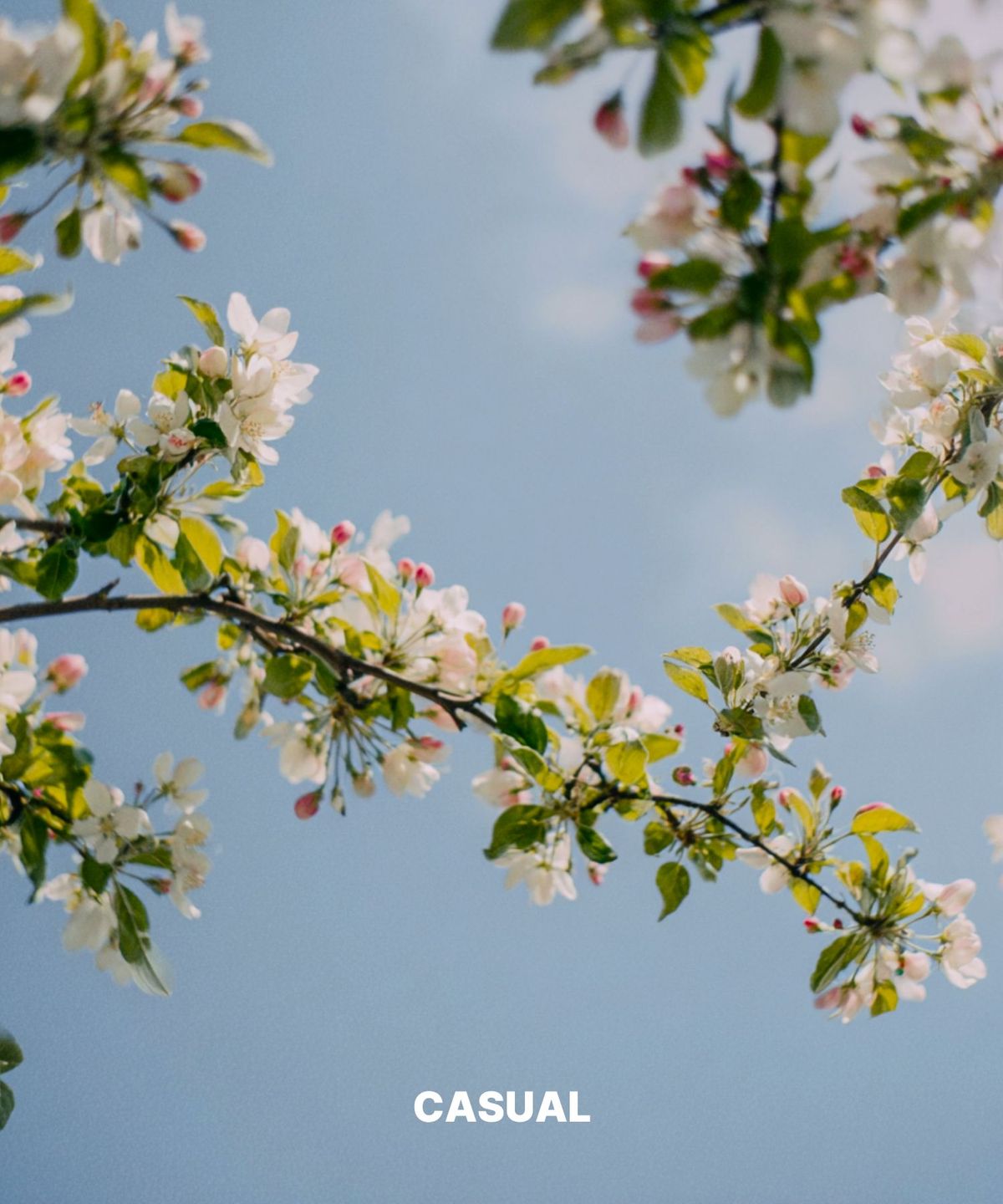 오미(OHME) 캐쥬얼 30/50/100ml