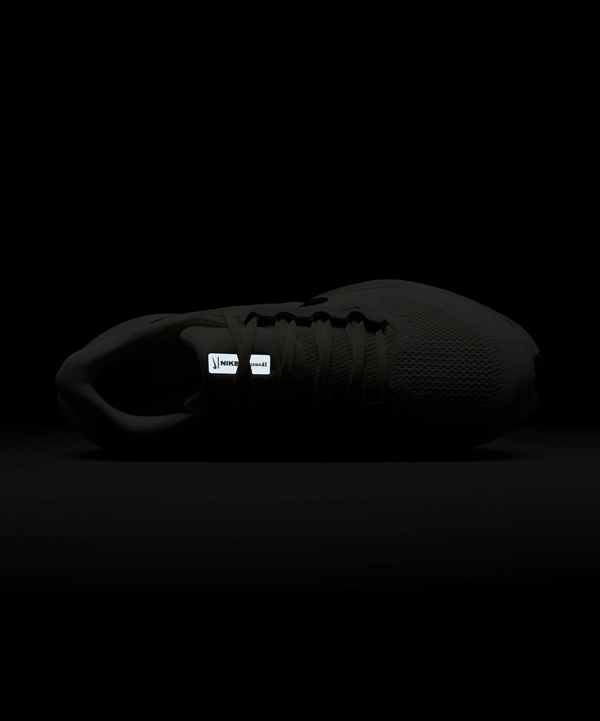 나이키(NIKE) 페가수스 41 M - 세일:팬텀:화이트:블랙 / FD2722-111