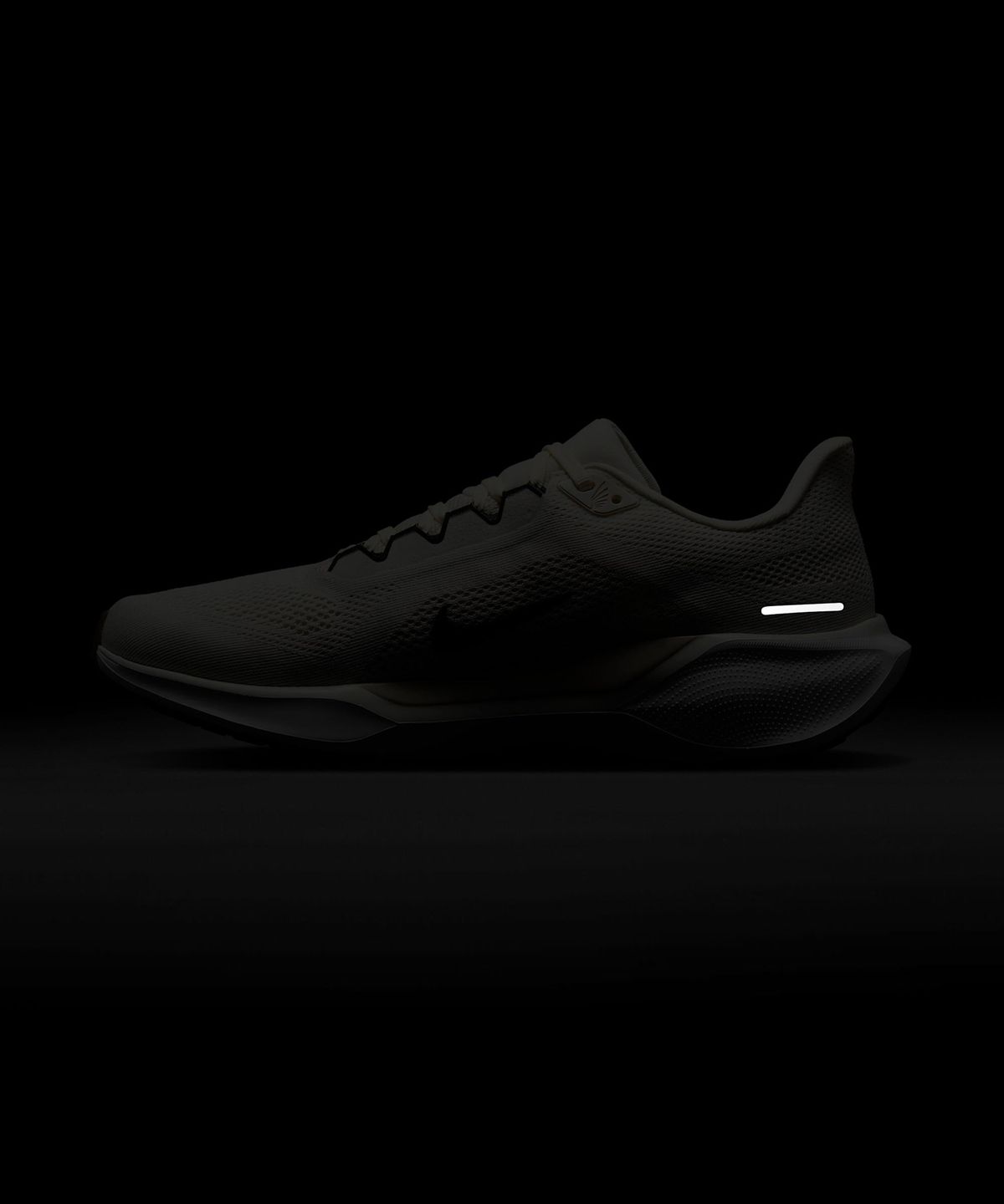 나이키(NIKE) 페가수스 41 M - 세일:팬텀:화이트:블랙 / FD2722-111