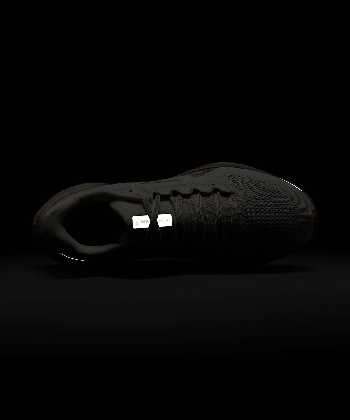 나이키(NIKE) 페가수스 41 W - 팬텀:밍크 브라운:코퍼 문:화이트 / FD2723-008