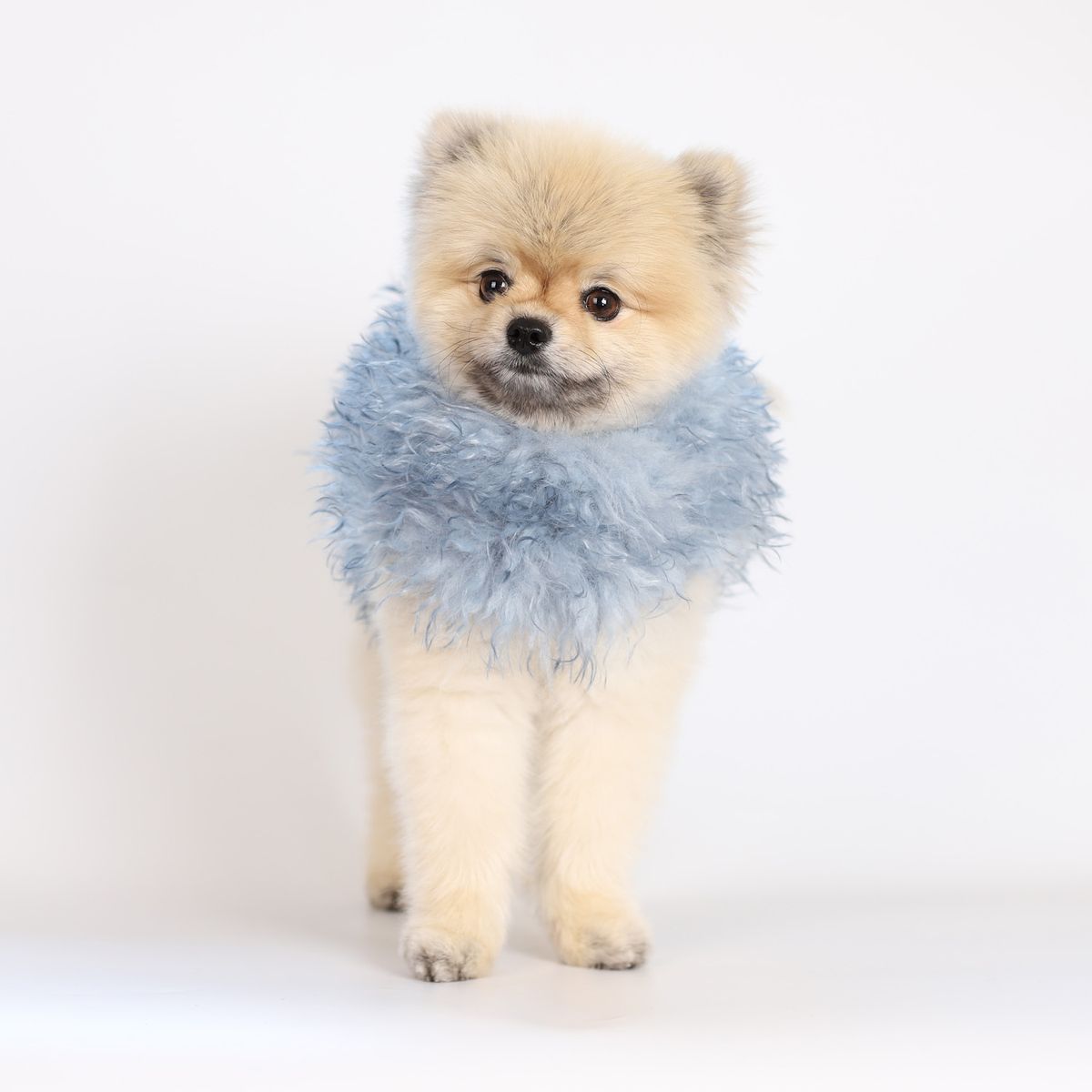 몽루(MONLOUP) 알라스칸