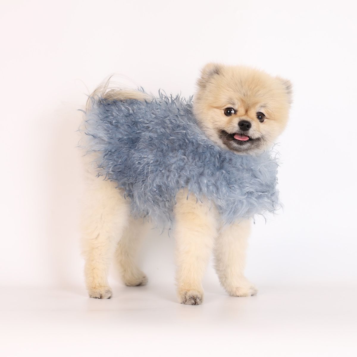 몽루(MONLOUP) 알라스칸