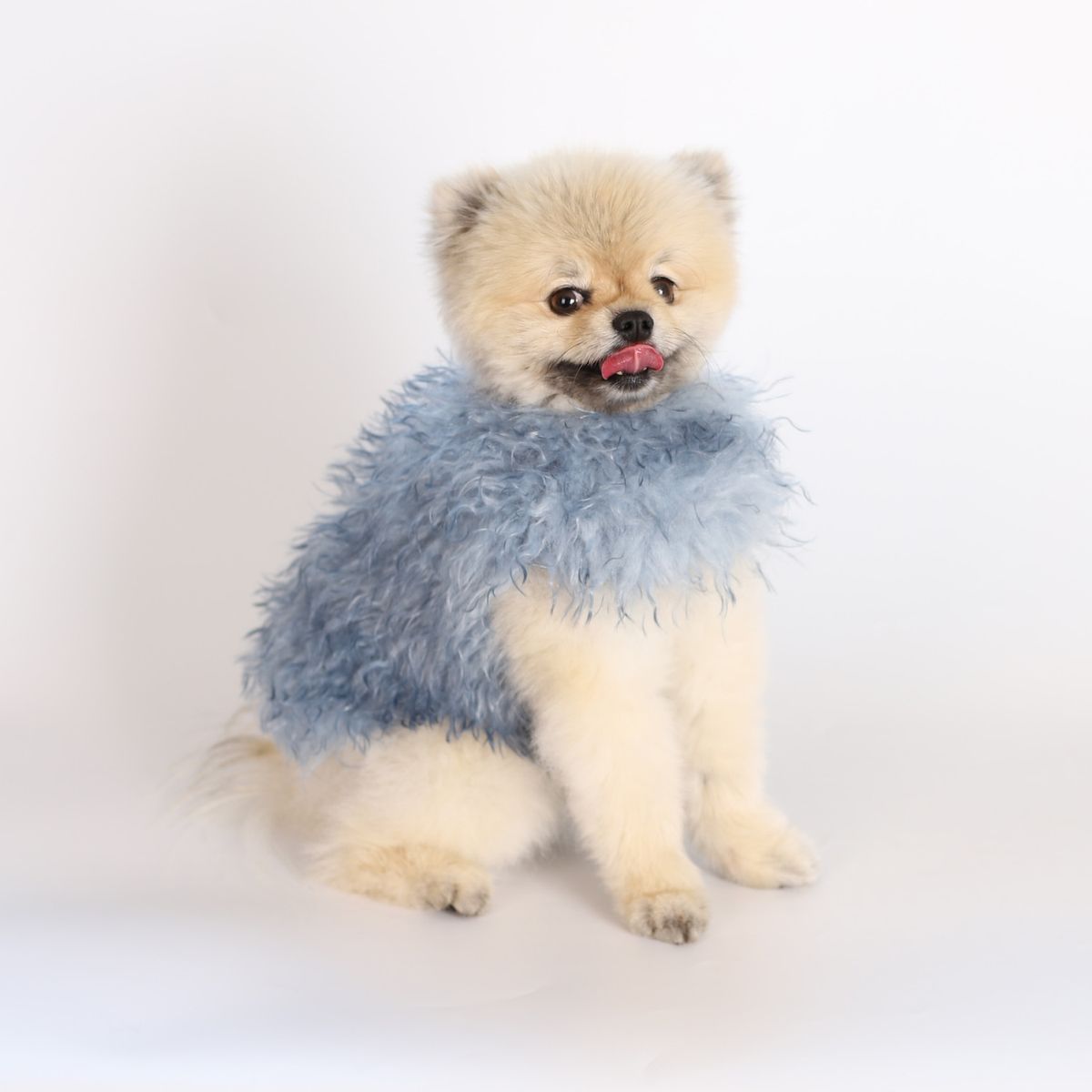 몽루(MONLOUP) 알라스칸