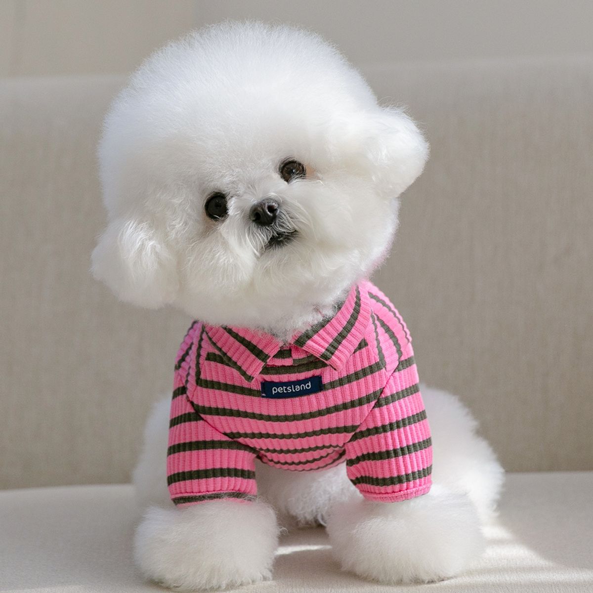 펫츠랜드(PETSLAND) 돌체하이넥티셔츠 핑크 S-2XL
