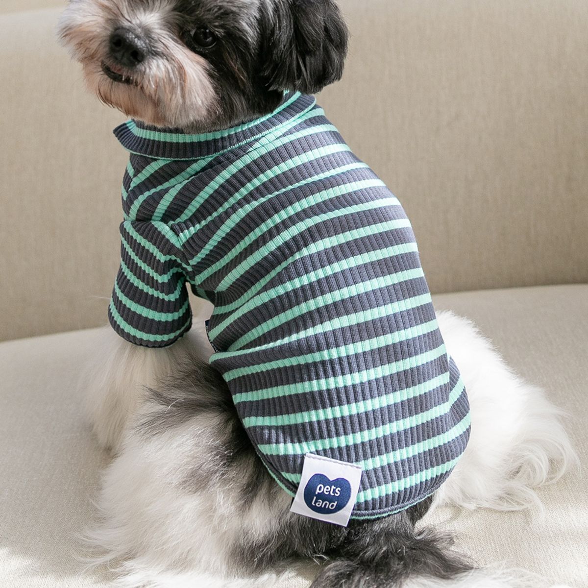 펫츠랜드(PETSLAND) 돌체하이넥티셔츠 차콜  S-2XL