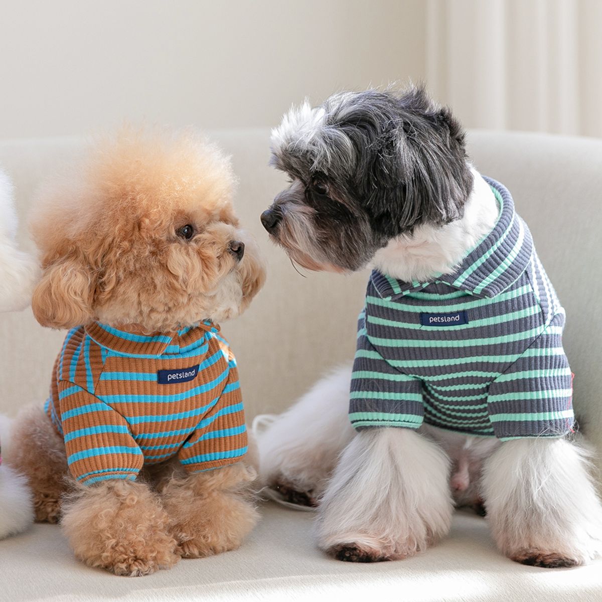 펫츠랜드(PETSLAND) 돌체하이넥티셔츠 차콜  S-2XL