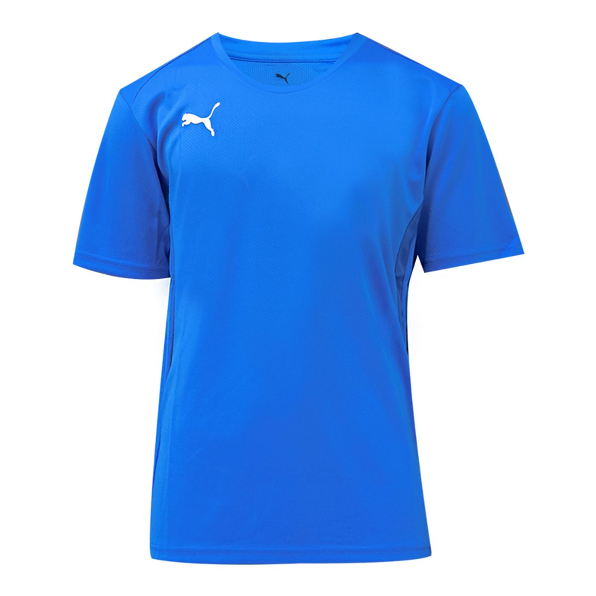푸마(PUMA) 팀골 저지(65863602)